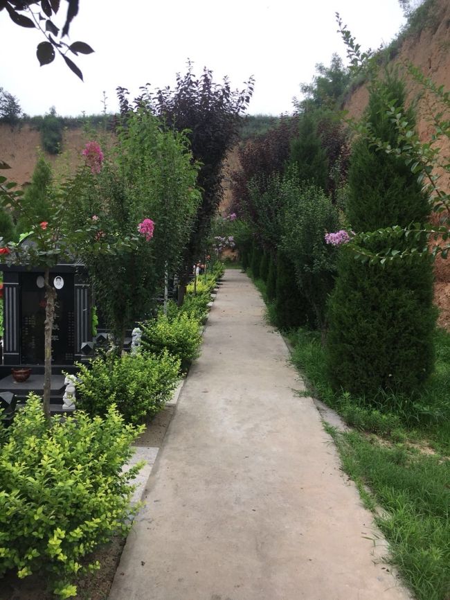 園區(qū)景觀(guān)