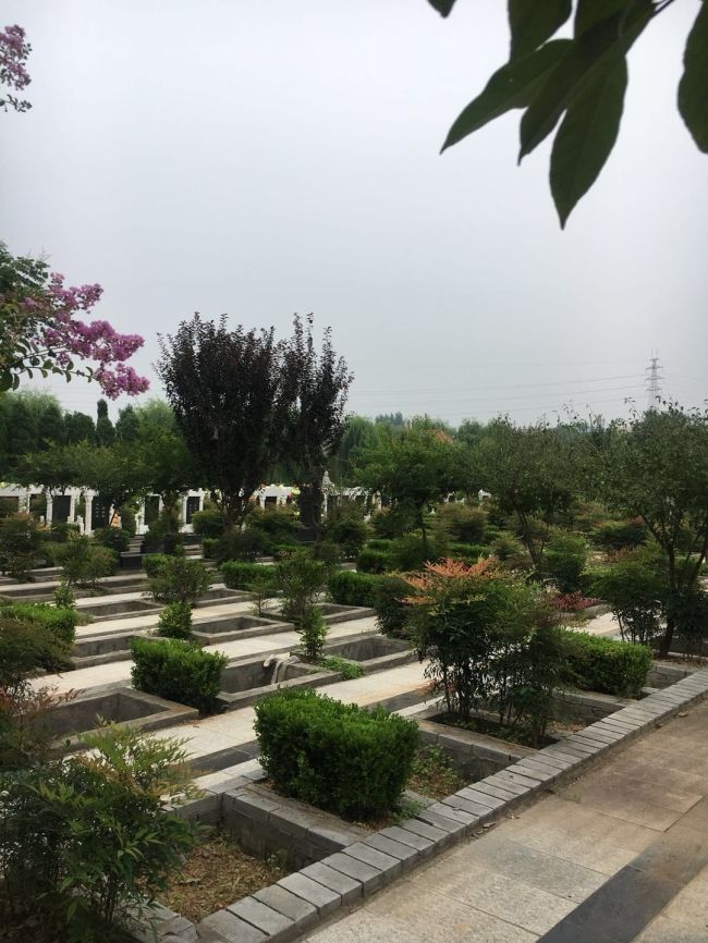 園區(qū)景觀(guān)